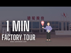 Ontdek van de het Lood Zure Auto van Azië Grootste de Batterijfabriek in enkel 1 Minuut